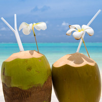 Coconuts: Tropical Miracle Food