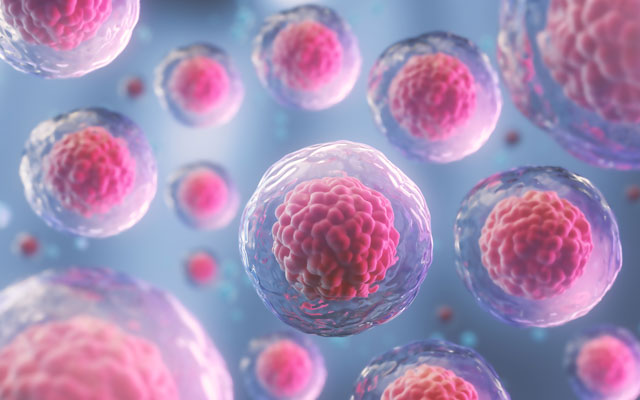Stem Cells in Breastmilk - A New Discovery