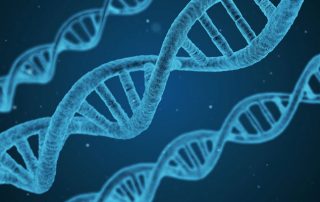 What is Genetic Counselling?