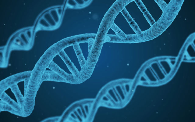 What is Genetic Counselling?