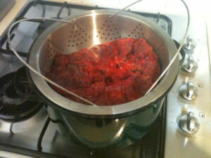 encapsulating-placenta