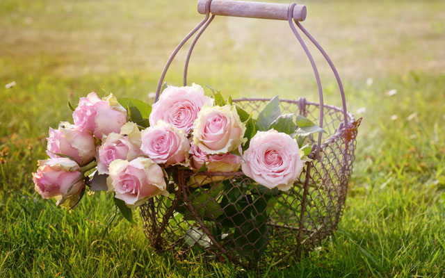 How you too can have time to smell the roses
