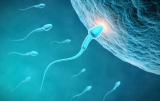 Understanding Fertility and Infertility