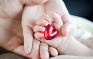 Attachment and Attachment Parenting