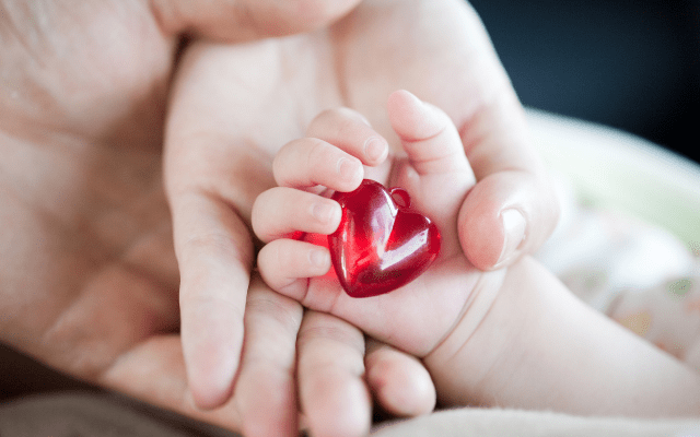Attachment and Attachment Parenting