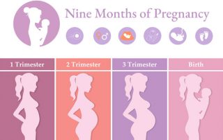 Nine Months of Pregnancy