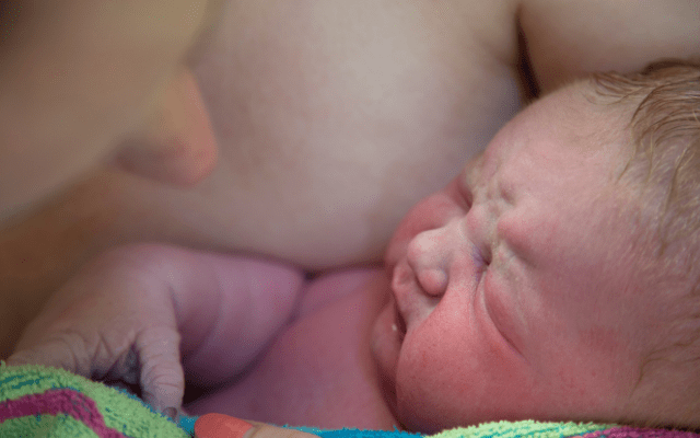The politicisation of science: A critique of the South Australian Homebirth Paper and its portrayal in the media