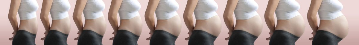PBB Pregnancy