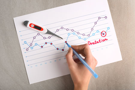 Ovulation Calculator And Calendar Identify Your Most Fertile Days