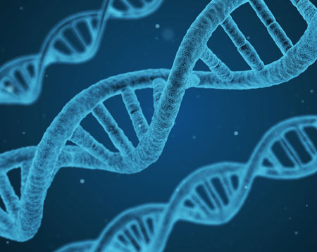What is Genetic Counselling?