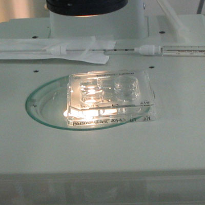 The first time I met you in the IVF lab