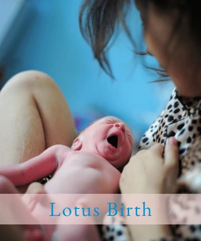 Lotus Birth