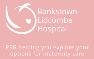 Bankstown-Lidcombe Hospital