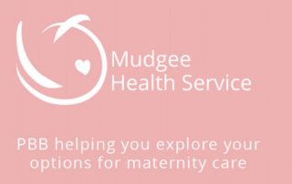 Mudgee Health Service