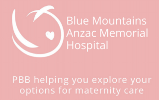 Blue Mountains Anzac Memorial Hospital