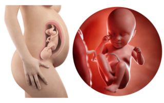 35 weeks pregnant