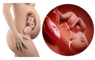 37 weeks pregnant