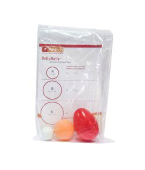 Ameda Belly Balls Lactation Education Tool 2